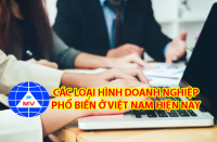 Các loại hình doanh nghiệp ở Việt nam năm 2024
