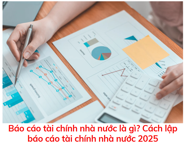bao-cao-tai-chinh-nha-nuoc-la-gi-cach-lap-bao-cao-tai-chinh-nha-nuoc-2025