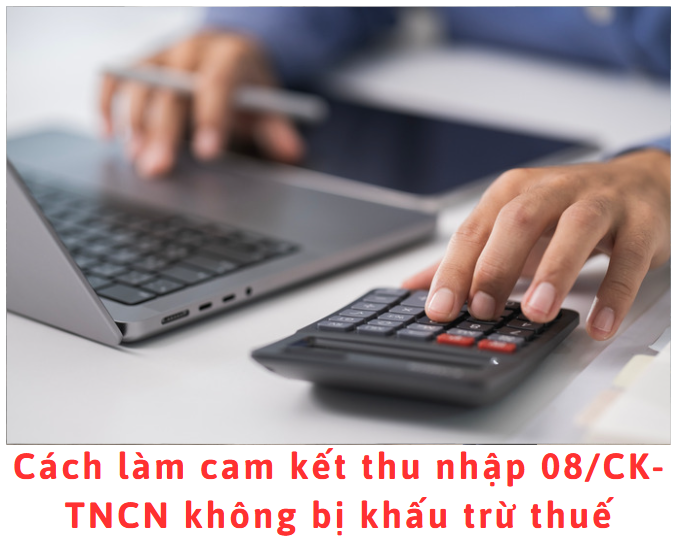 cach-lam-cam-ket-thu-nhap-08-ck-tncn-khong-bi-khau-tru-thue
