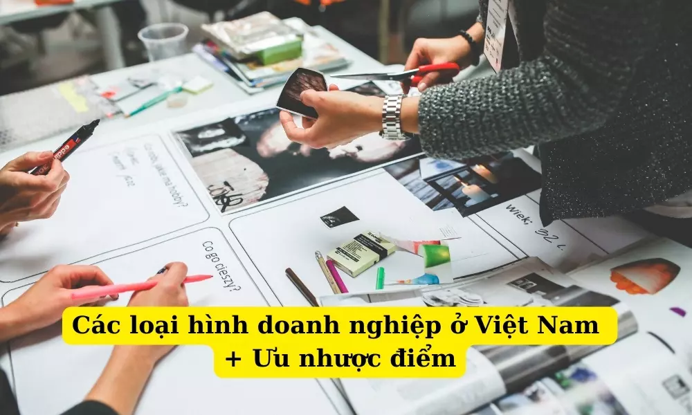 cac-loai-hinh-doanh-nghiep-o-viet-nam
