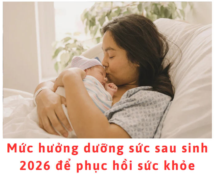 muc-huong-duong-suc-sau-sinh-2026-de-phuc-hoi-suc-khoe
