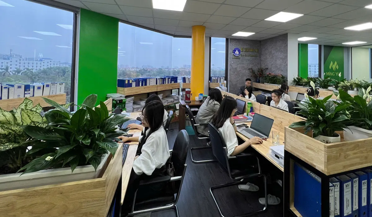 Dịch vụ dọn dẹp sổ sách kế toán tại Bắc Giang